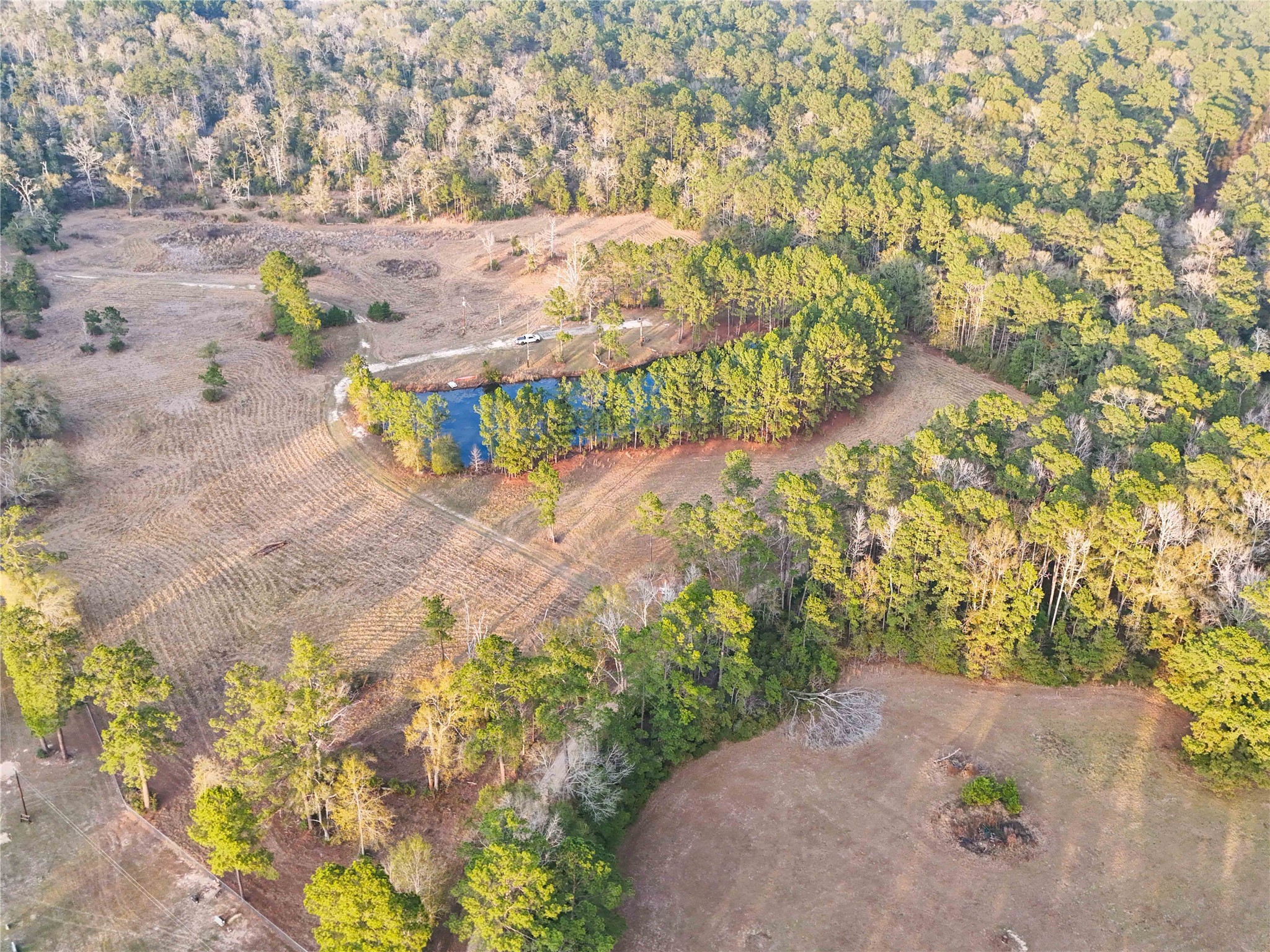 Tbd Felps Cemetery Road Saratoga, TX 77585 - Photo 30 of 50