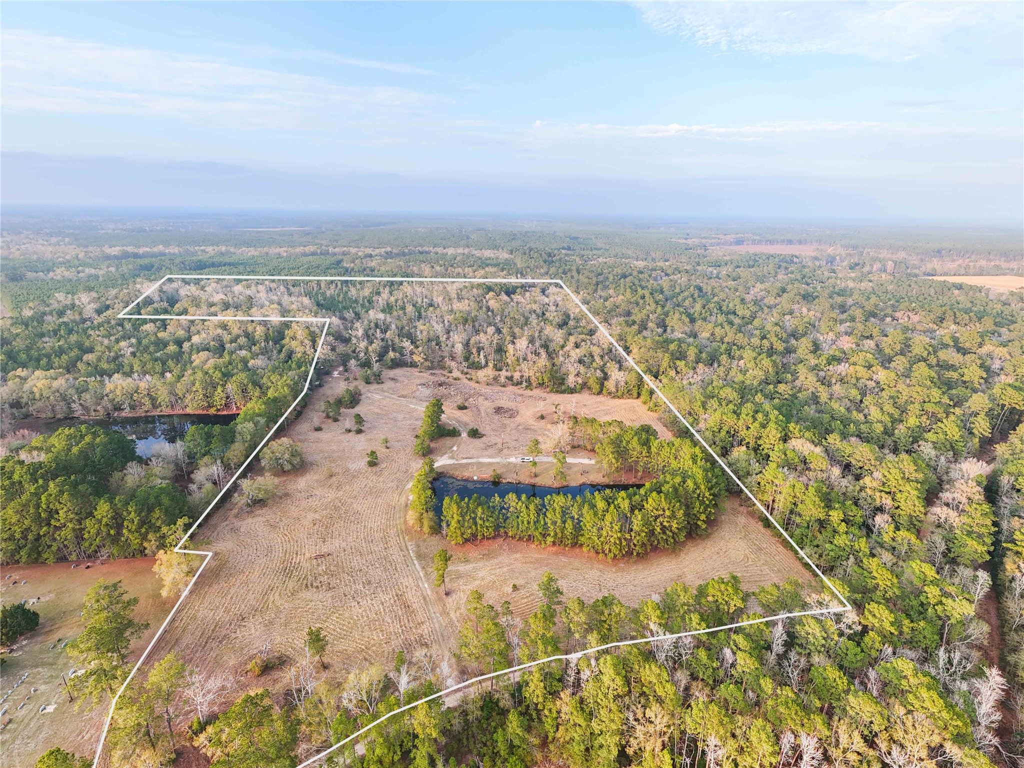 Tbd Felps Cemetery Road Saratoga, TX 77585 - Photo 3 of 50