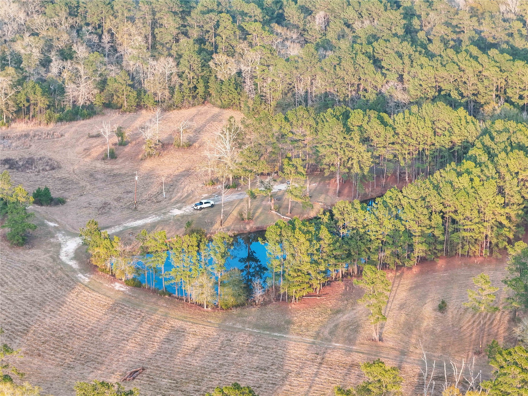 Tbd Felps Cemetery Road Saratoga, TX 77585 - Photo 31 of 50