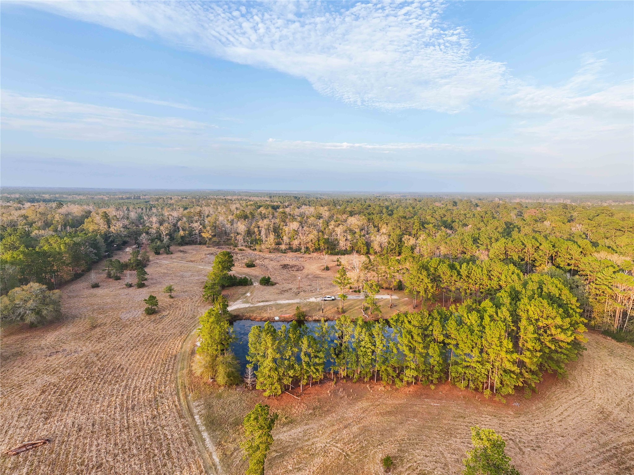 Tbd Felps Cemetery Road Saratoga, TX 77585 - Photo 33 of 50