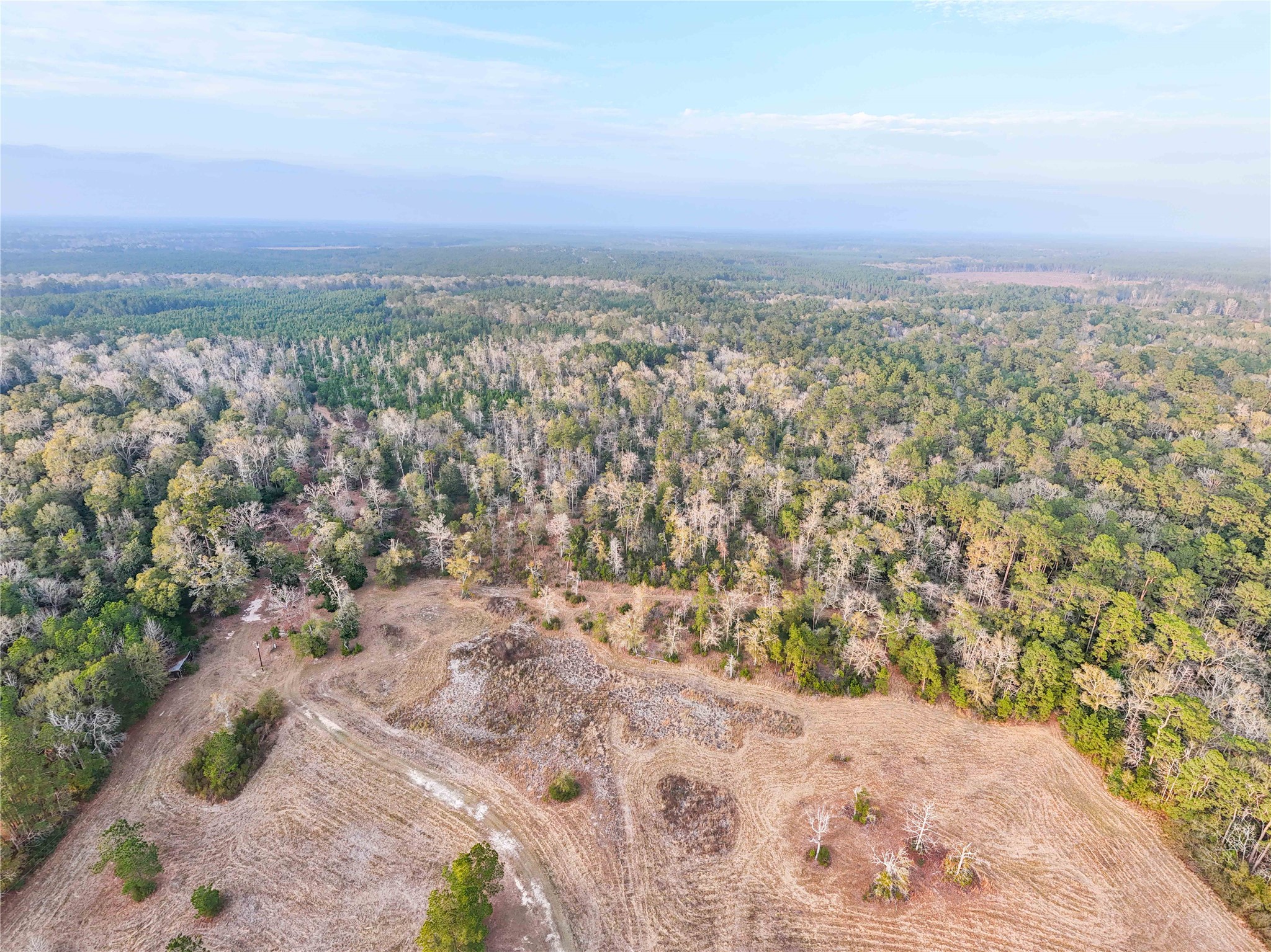 Tbd Felps Cemetery Road Saratoga, TX 77585 - Photo 34 of 50