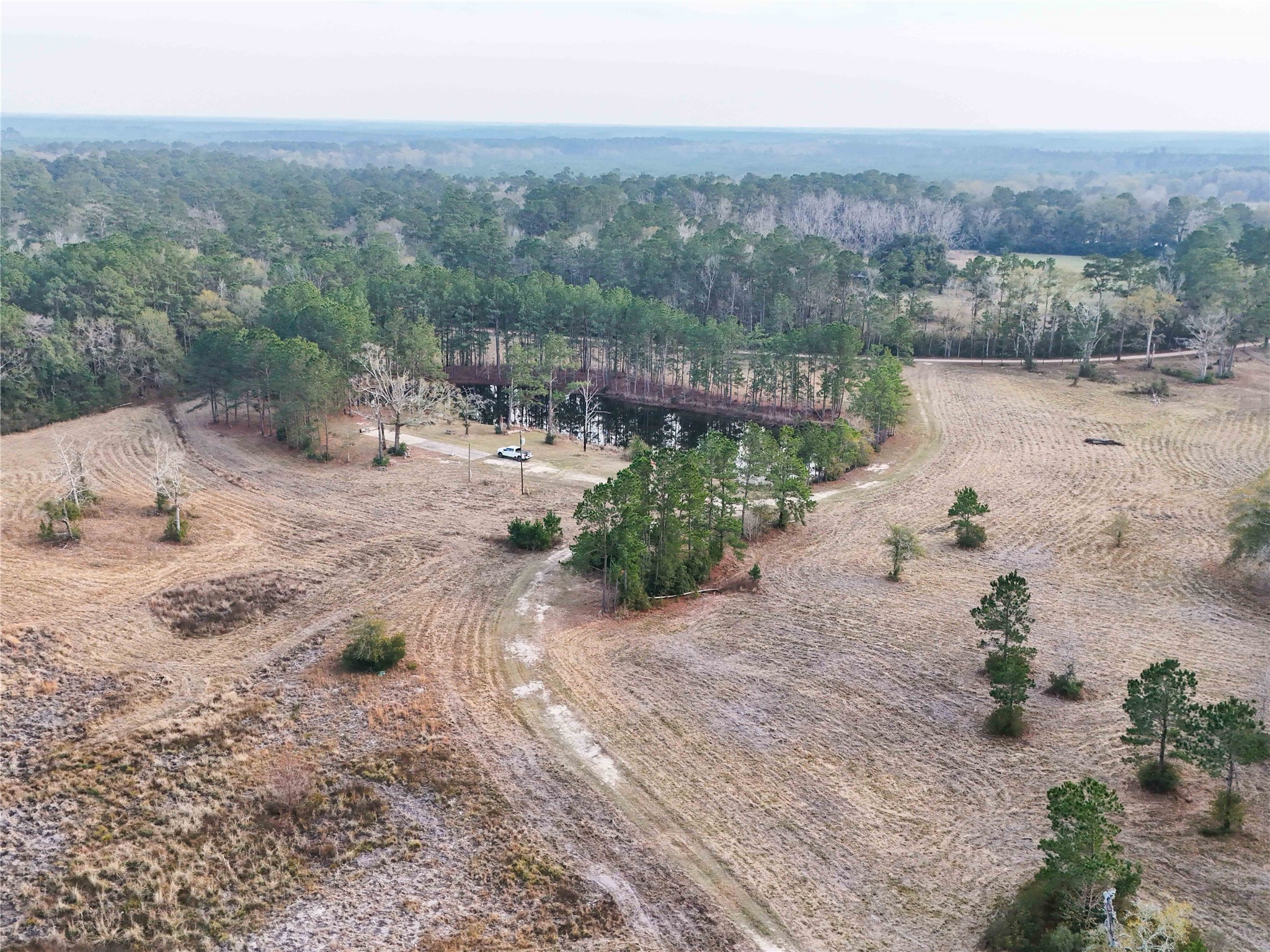 Tbd Felps Cemetery Road Saratoga, TX 77585 - Photo 36 of 50