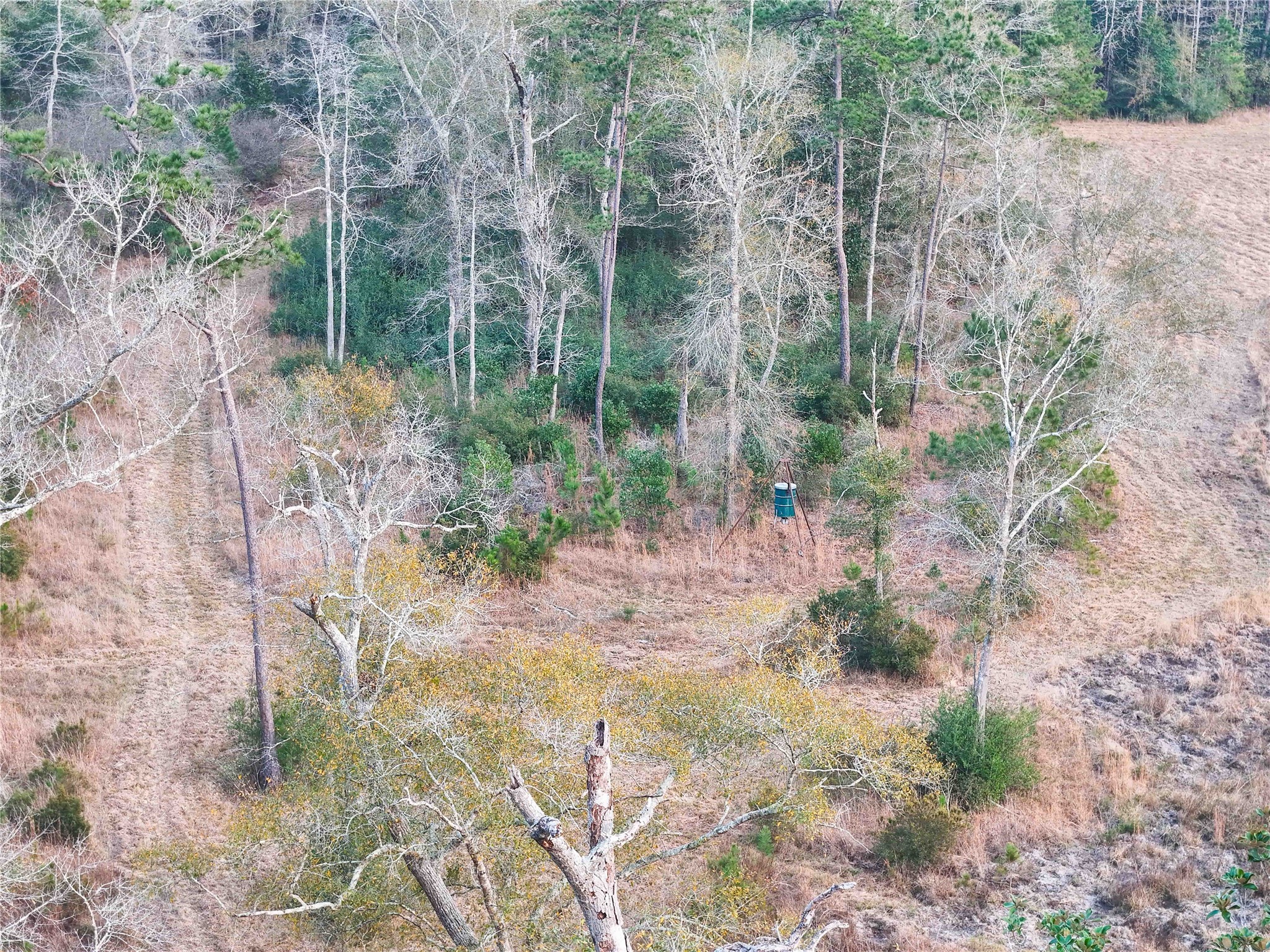 Tbd Felps Cemetery Road Saratoga, TX 77585 - Photo 37 of 50