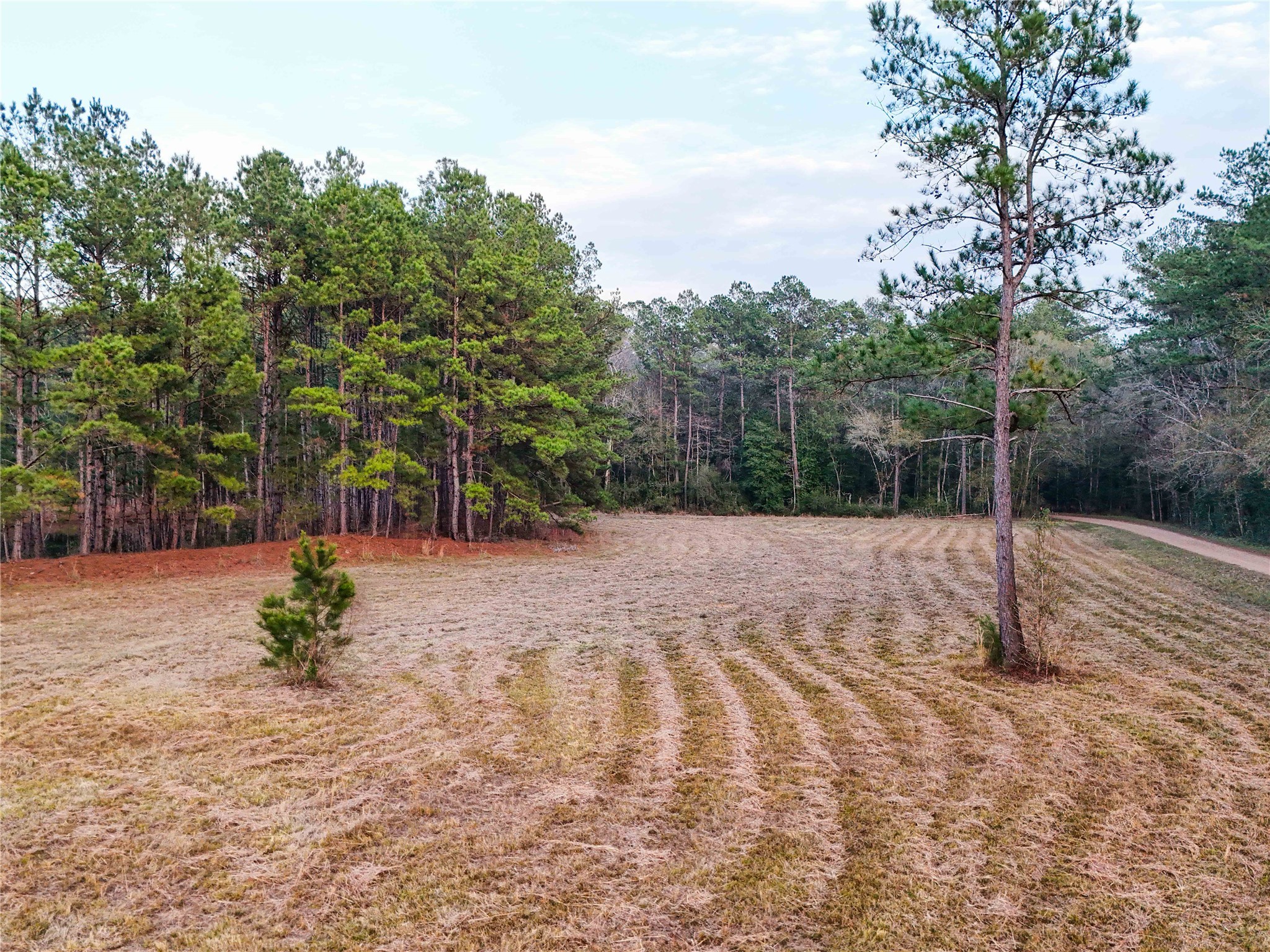 Tbd Felps Cemetery Road Saratoga, TX 77585 - Photo 39 of 50