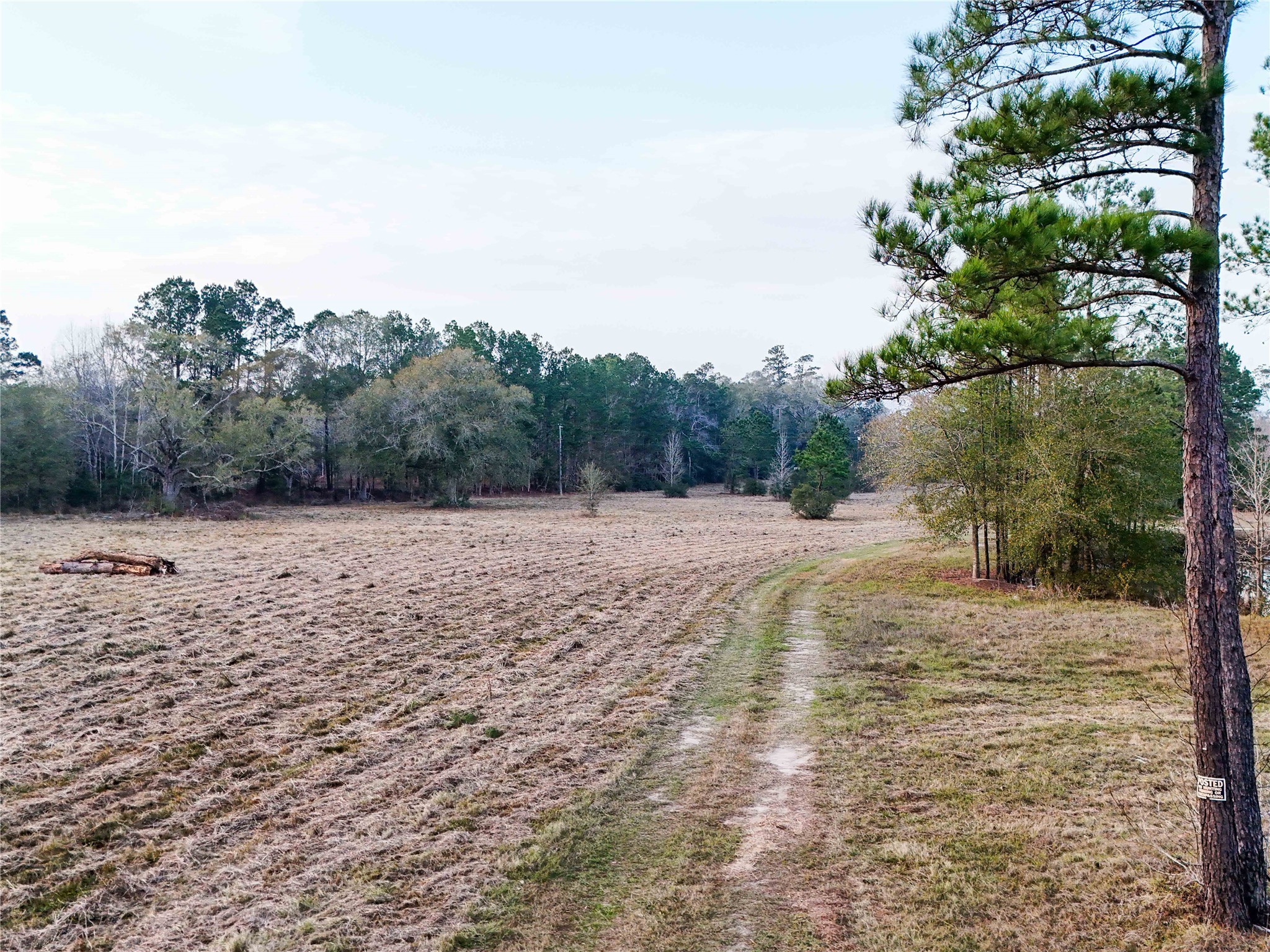 Tbd Felps Cemetery Road Saratoga, TX 77585 - Photo 40 of 50