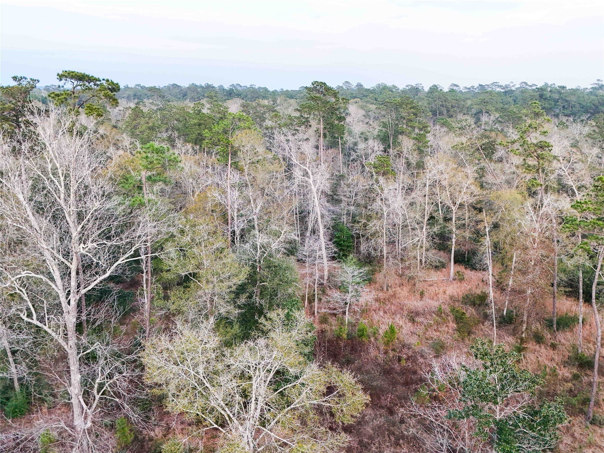 Tbd Felps Cemetery Road Saratoga, TX 77585 - Photo 41 of 50