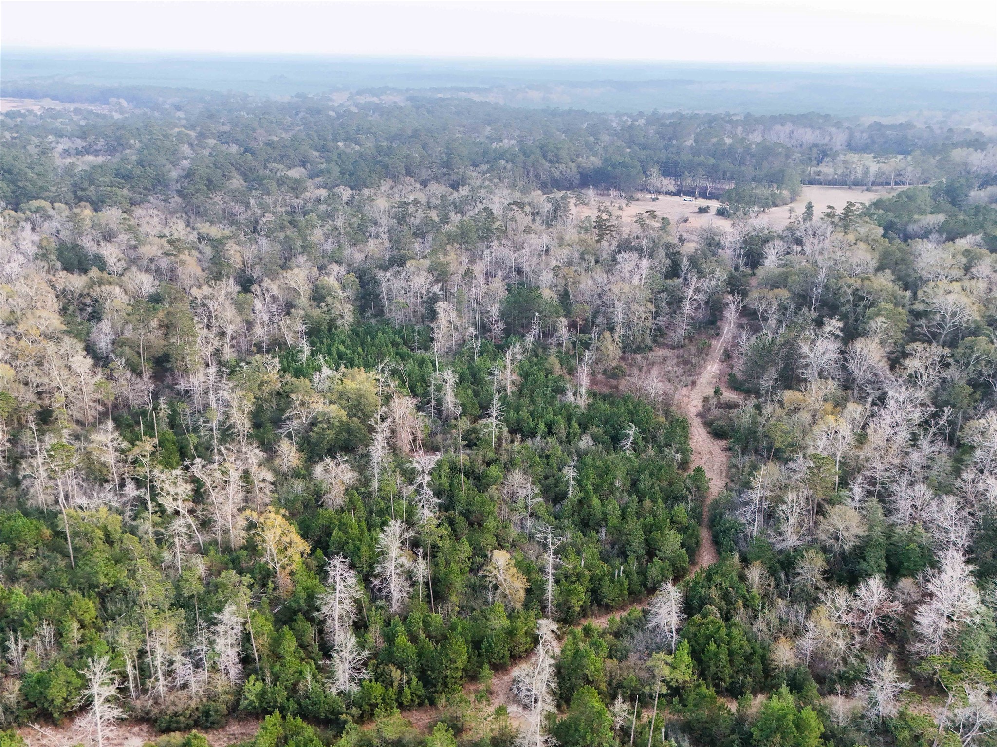 Tbd Felps Cemetery Road Saratoga, TX 77585 - Photo 45 of 50