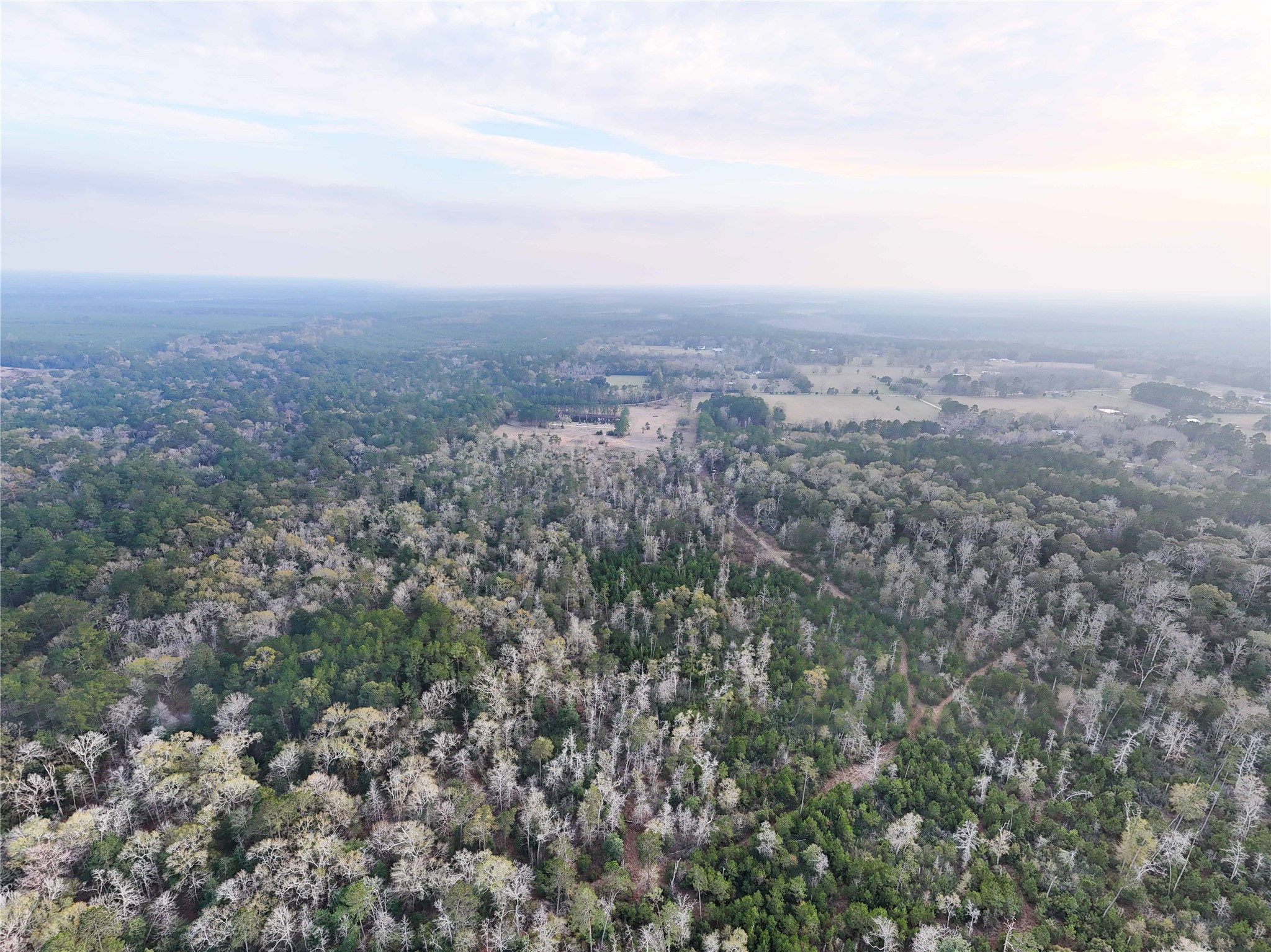 Tbd Felps Cemetery Road Saratoga, TX 77585 - Photo 46 of 50