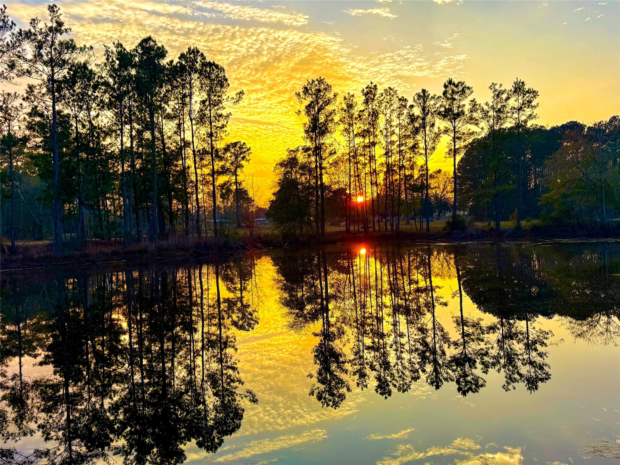 Tbd Felps Cemetery Road Saratoga, TX 77585 - Photo 48 of 50