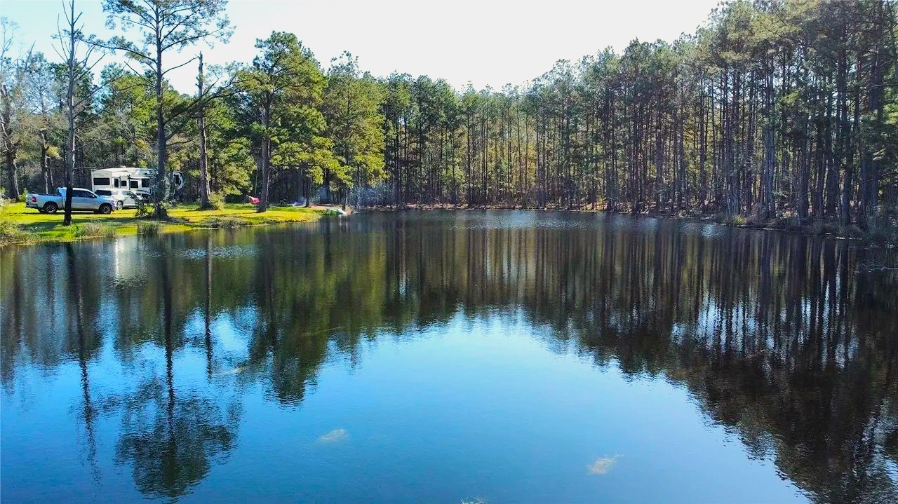 Tbd Felps Cemetery Road Saratoga, TX 77585 - Photo 49 of 50