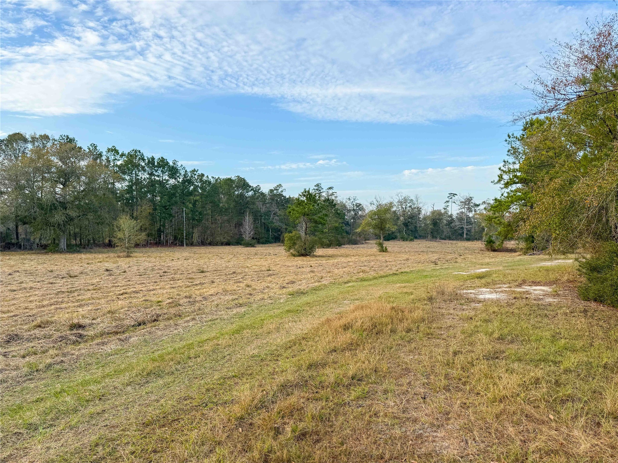 Tbd Felps Cemetery Road Saratoga, TX 77585 - Photo 5 of 50