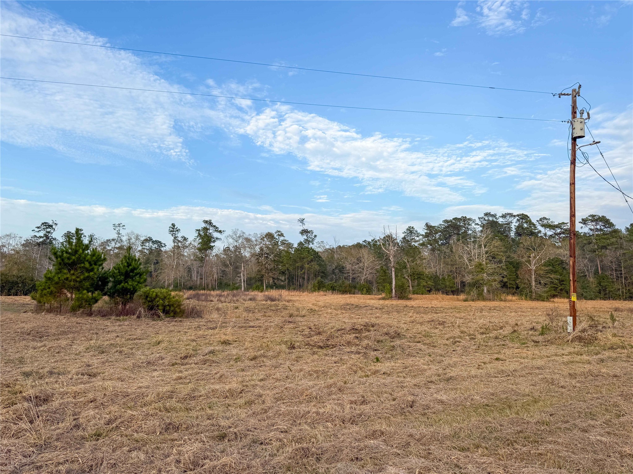 Tbd Felps Cemetery Road Saratoga, TX 77585 - Photo 6 of 50