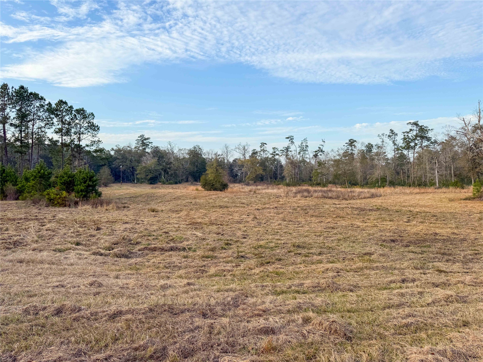 Tbd Felps Cemetery Road Saratoga, TX 77585 - Photo 7 of 50