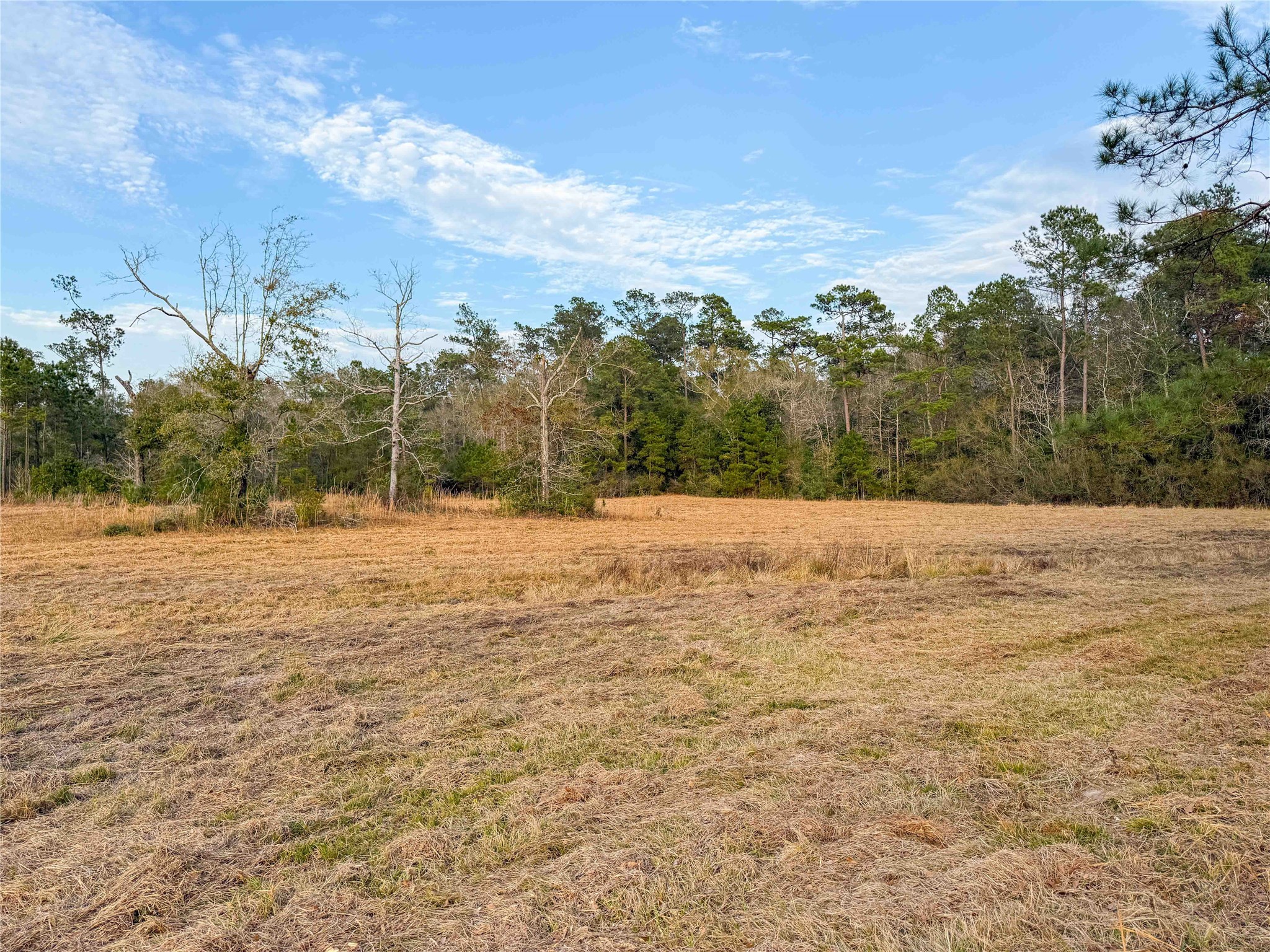Tbd Felps Cemetery Road Saratoga, TX 77585 - Photo 8 of 50