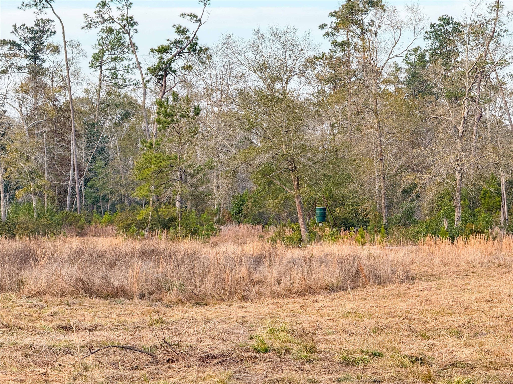 Tbd Felps Cemetery Road Saratoga, TX 77585 - Photo 9 of 50