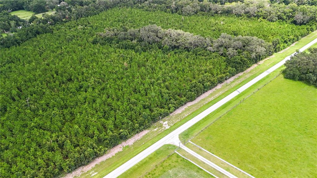 346 Southwest County Road 346 Archer, FL 32618 - Photo 2 of 6 a view of a yard