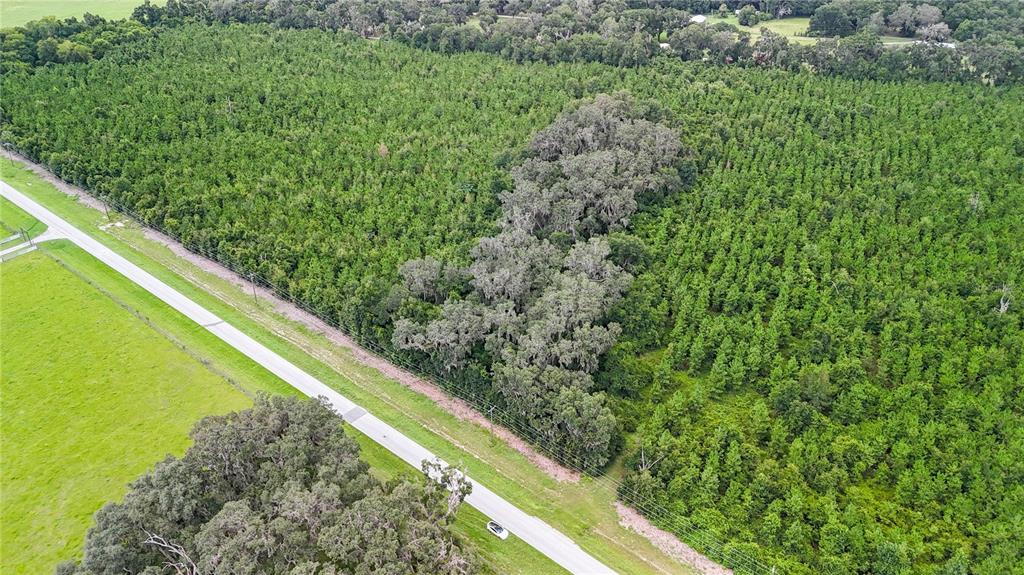 346 Southwest County Road 346 Archer, FL 32618 - Photo 3 of 6 a view of a forest from a balcony