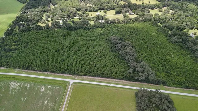 a view of a green yard with large trees