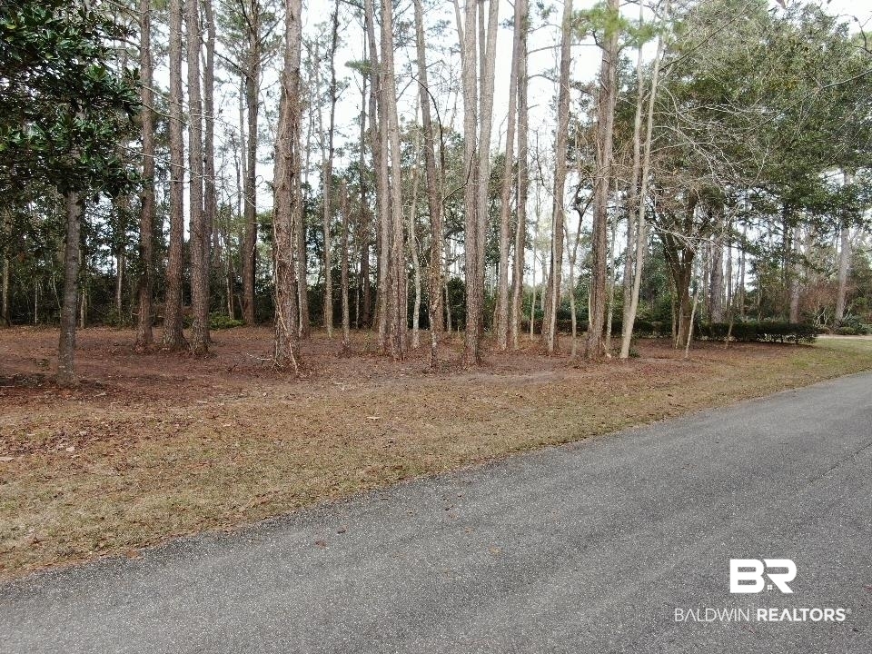 Riverview Nursery Road Theodore, AL 36582 - Photo 24 of 24