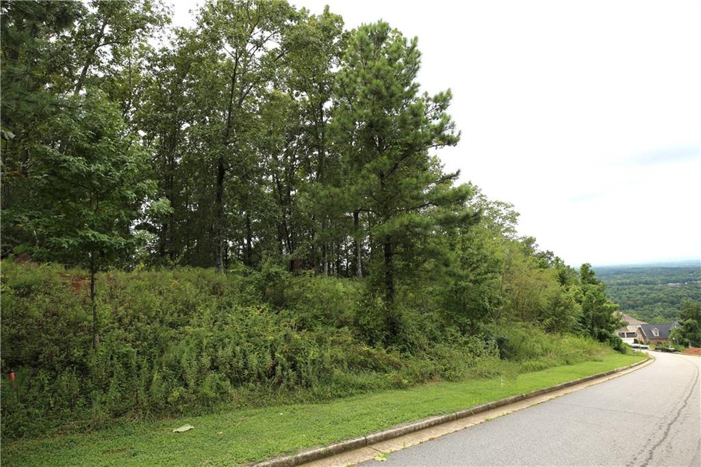 5005 Pindos Trail Southwest Powder Springs, GA 30127 - Photo 2 of 8 a view of a garden from a window