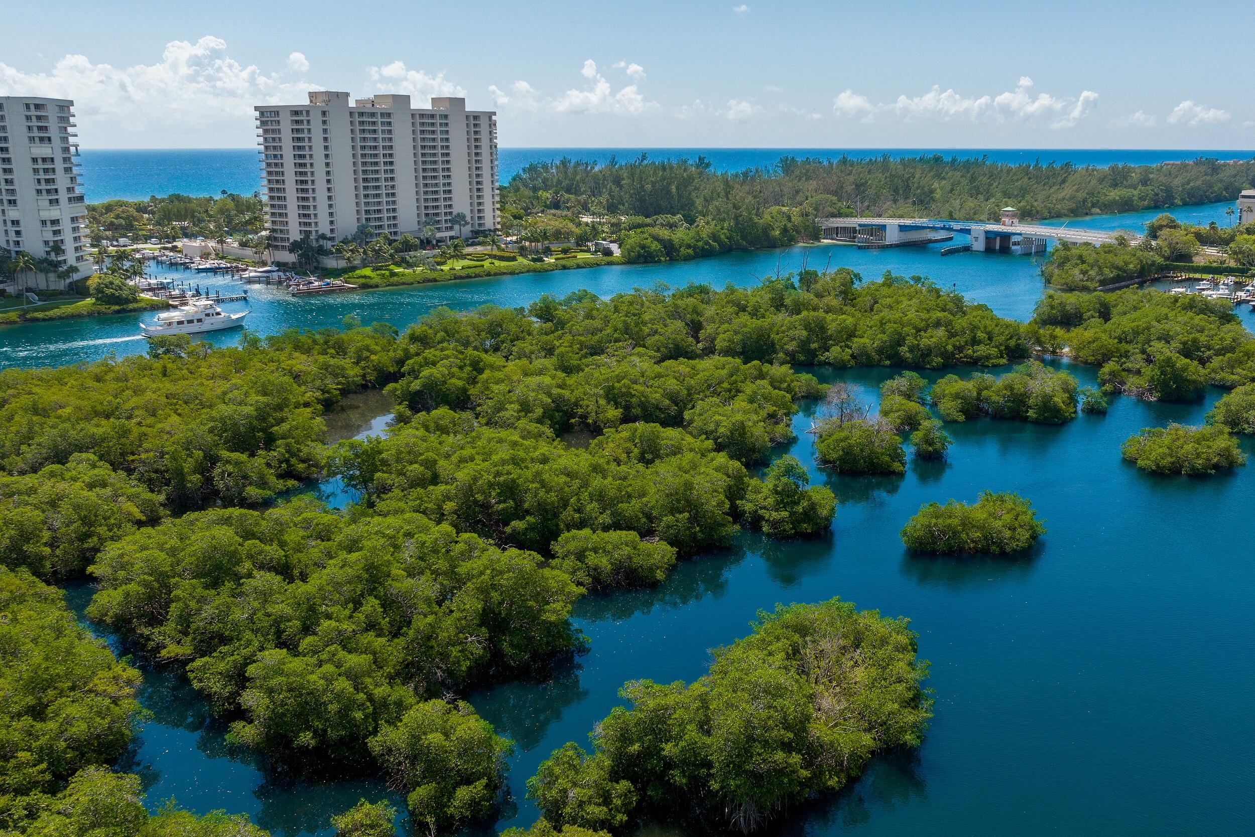 4400 Sanctuary Lane Boca Raton, FL 33431 - Photo 73 of 74 Protected Mangroves