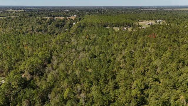 $75,000 | 0 Cross Country Boulevard, Unit 68, Marianna, FL 32446