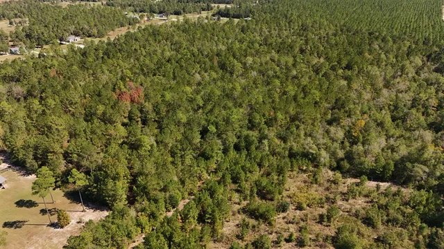 $75,000 | 0 Cross Country Boulevard, Unit 68, Marianna, FL 32446