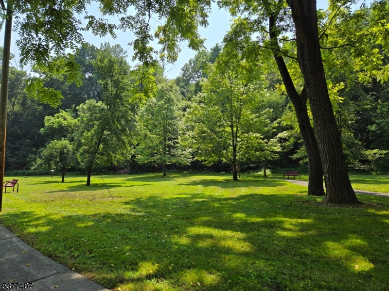 1041 Ridge Street, Unit A 19 Phillipsburg, NJ 08865 - Photo 11 of 20 a view of a park with a tree