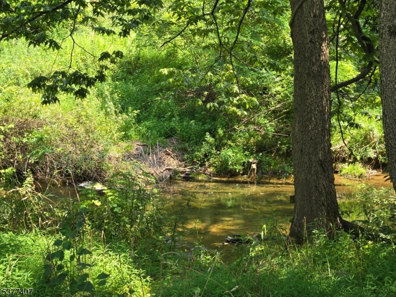 1041 Ridge Street, Unit A 19 Phillipsburg, NJ 08865 - Photo 19 of 20 a view of a lake with a tree