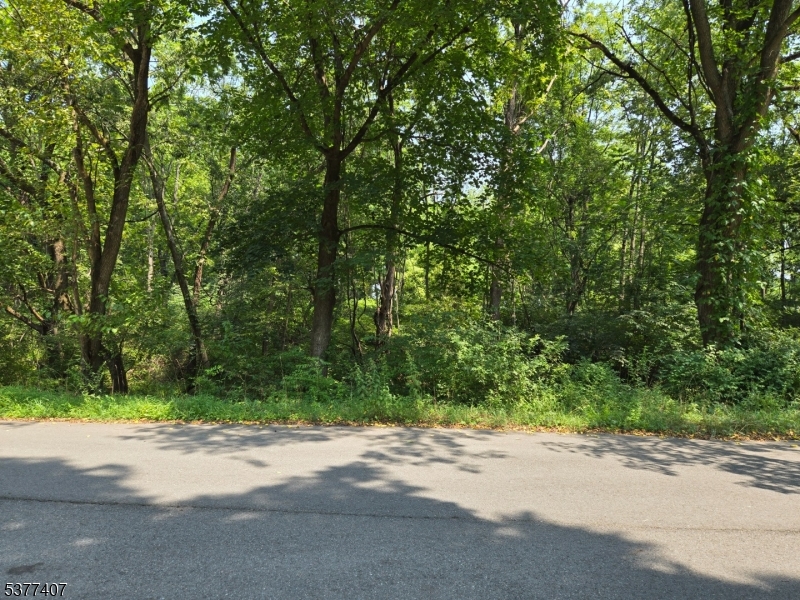1041 Ridge Street, Unit A 19 Phillipsburg, NJ 08865 - Photo 20 of 20 a view of a street with a trees