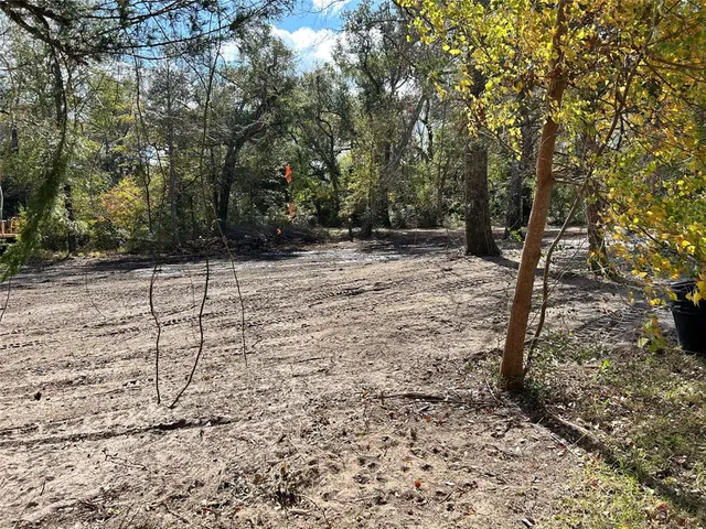 a backyard of a house with lots of green space