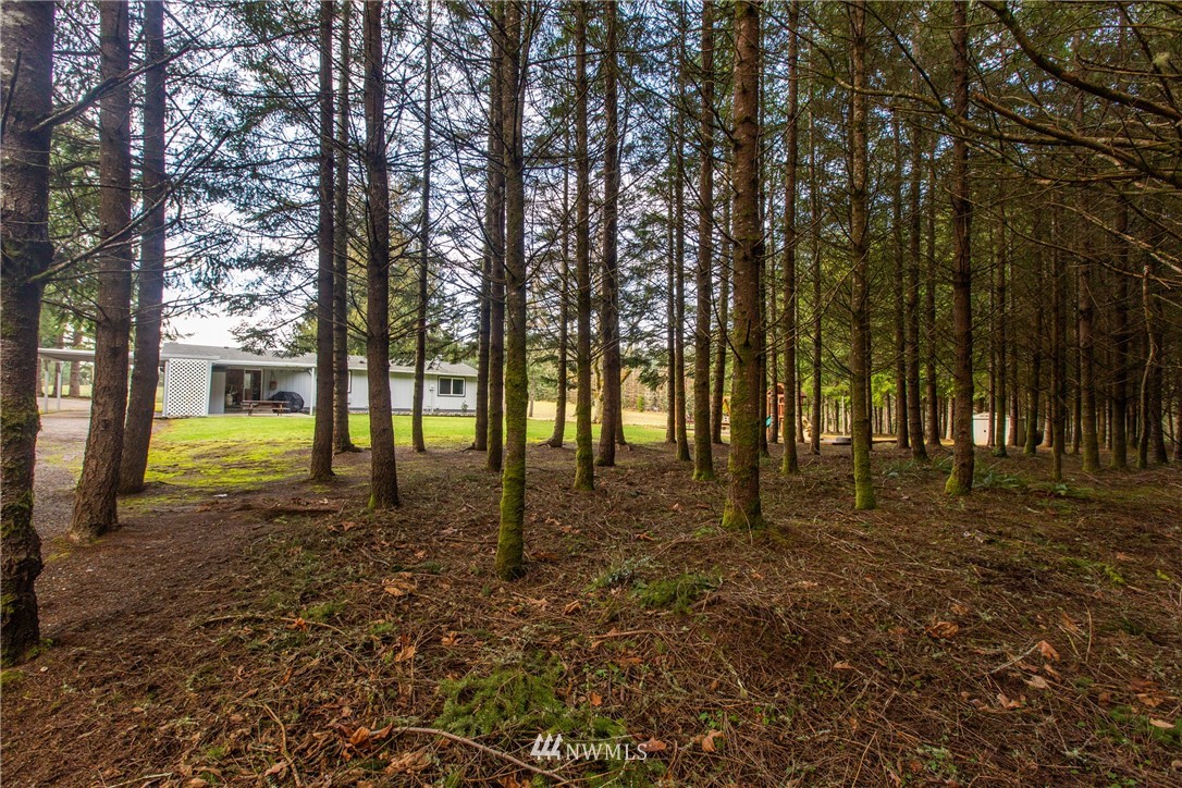 272 Summers Road Centralia, WA 98531 - Photo 8 of 25