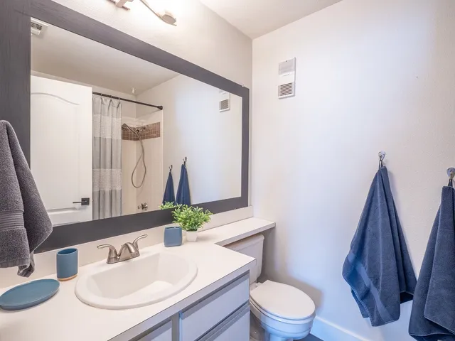 a bathroom with a sink a toilet and a mirror