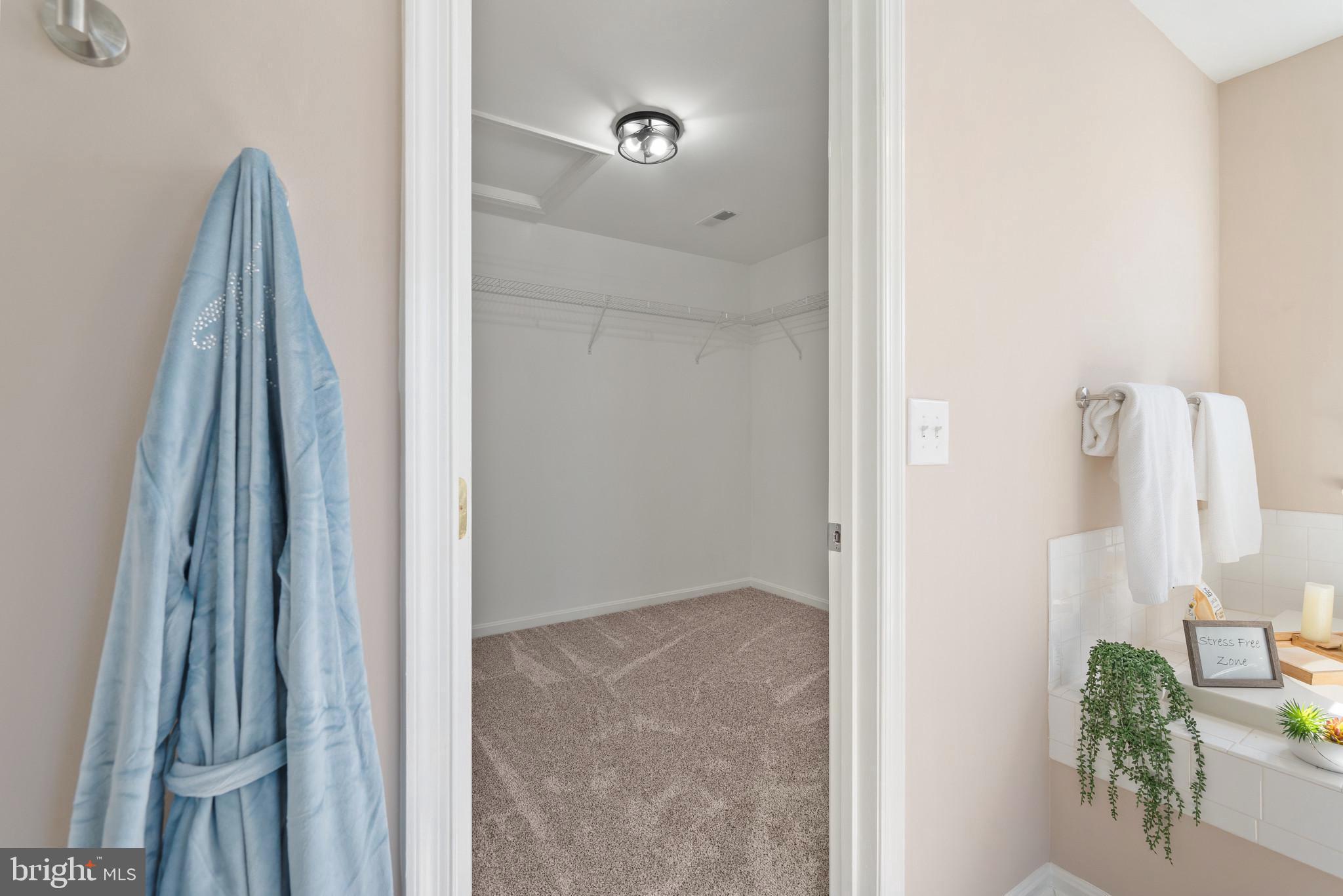 235 Colbert Street Taneytown, MD 21787 - Photo 11 of 18 Peek at the large walk in closet