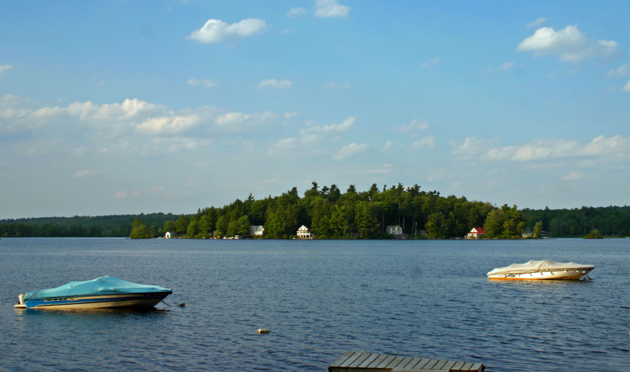 a view of a lake with houses in back
