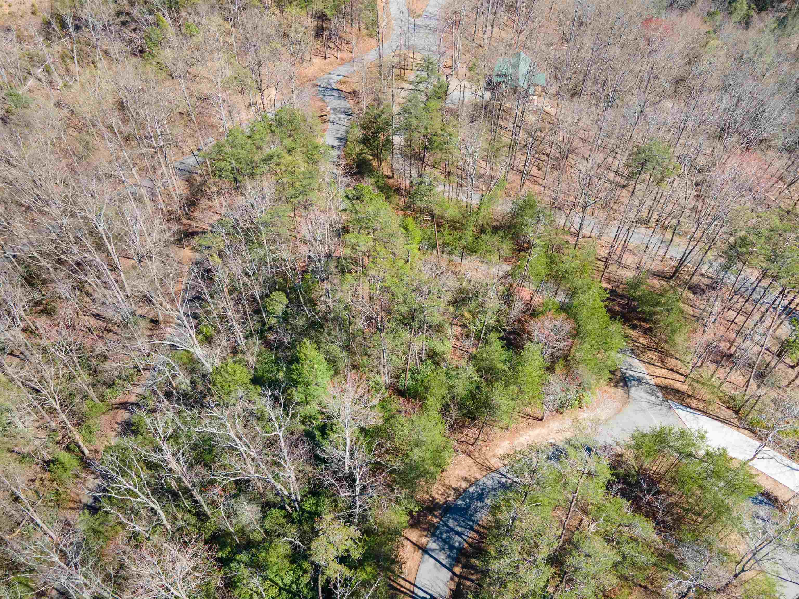 126 Kellerman Point Lake Lure, NC 28746 - Photo 3 of 30