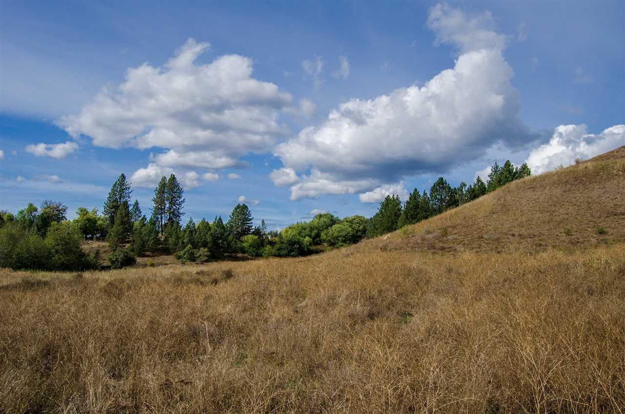 30 Bridge Creek Road Inchelium, WA 99138 - Photo 10 of 19 Gallery Image 10