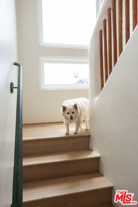 7137 Trask Avenue Playa del Rey, CA 90293 - Photo 17 of 46 a view of entryway