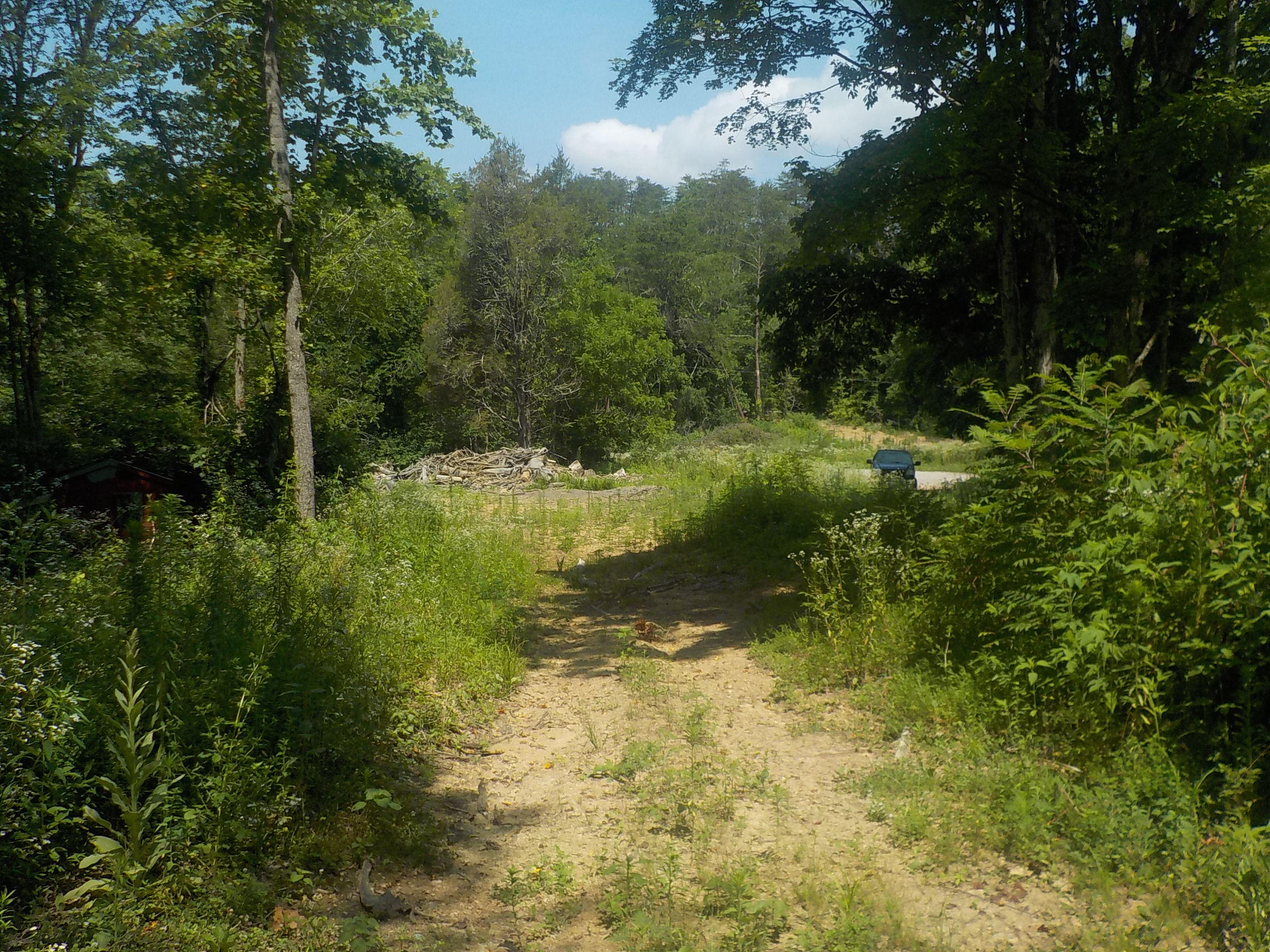 42.83 Merritt Road Washburn, TN 37888 - Photo 3 of 26 008