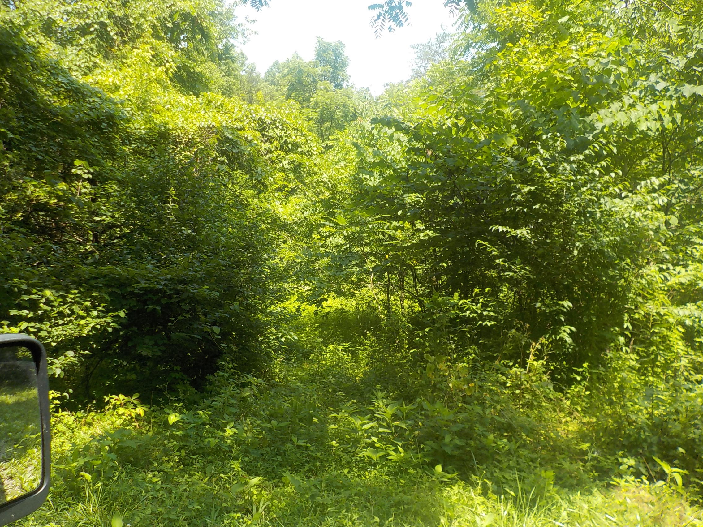 42.83 Merritt Road Washburn, TN 37888 - Photo 22 of 26 014