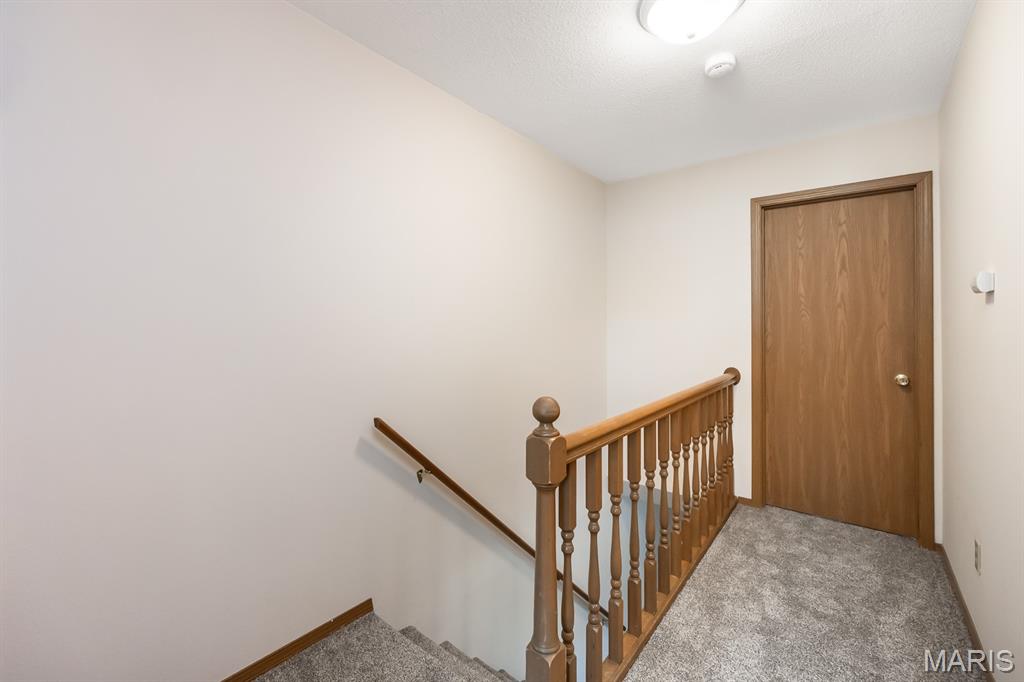 411 Donna Drive O'Fallon, IL 62269 - Photo 12 of 22