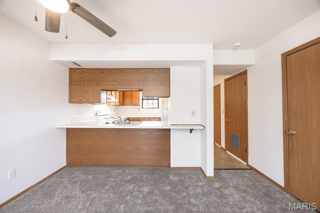 411 Donna Drive O'Fallon, IL 62269 - Photo 6 of 22