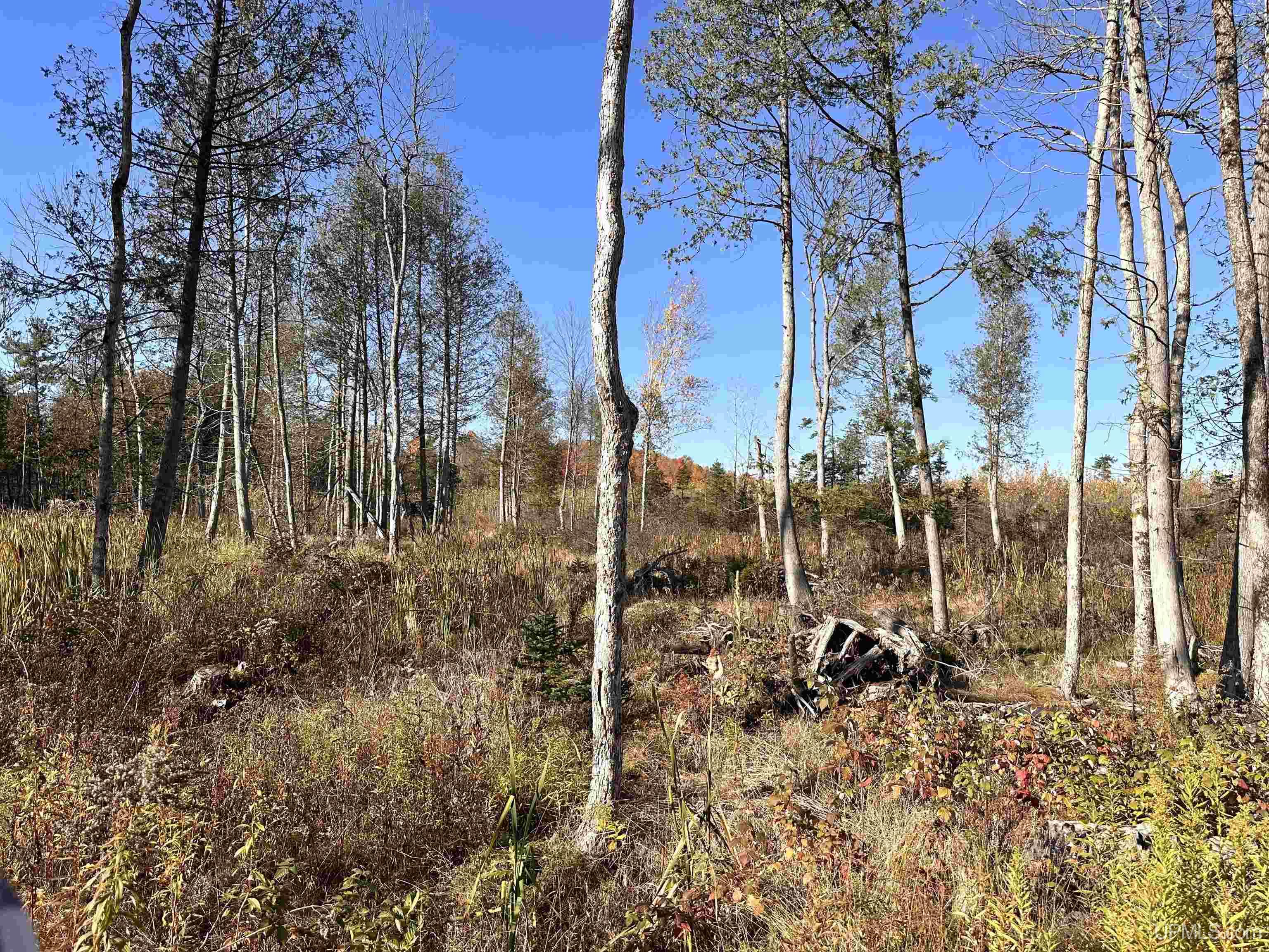 W8220 Co Road Vulcan, MI 49892 - Photo 10 of 14