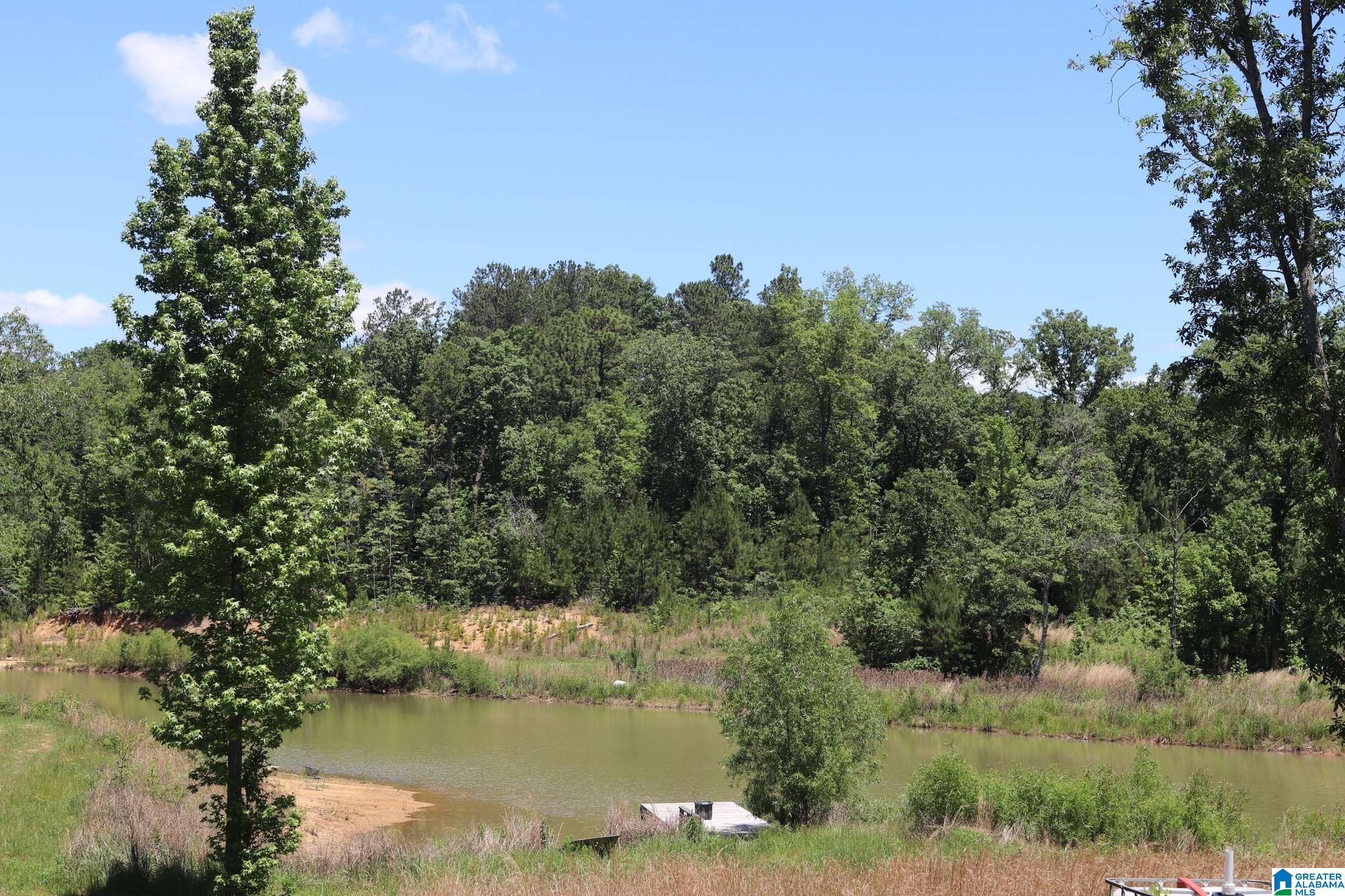 2930 Shocco Springs Road Talladega, AL 35160 - Photo 70 of 93