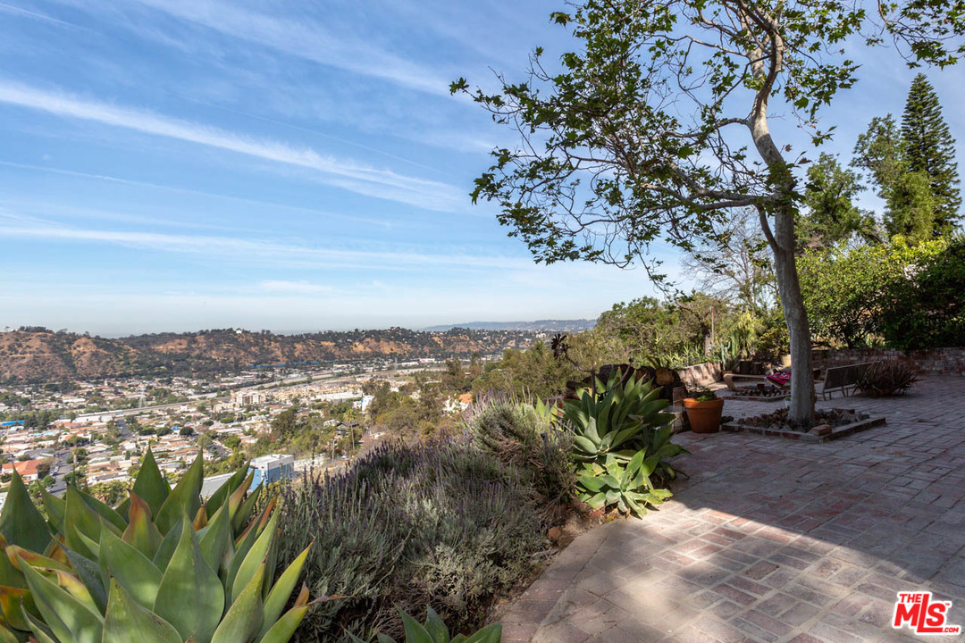 988 West Avenue 37 Los Angeles, CA 90065 - Photo 42 of 53 a view of a garden with plants and a bench
