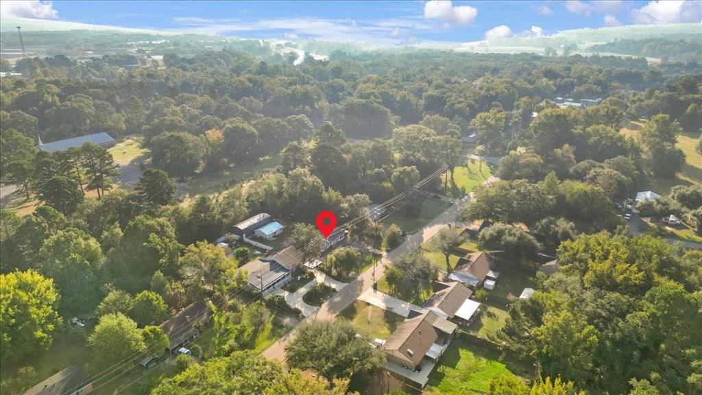 12379 Chapman Road Tyler, TX 75708 - Photo 38 of 40 a view of city and mountain