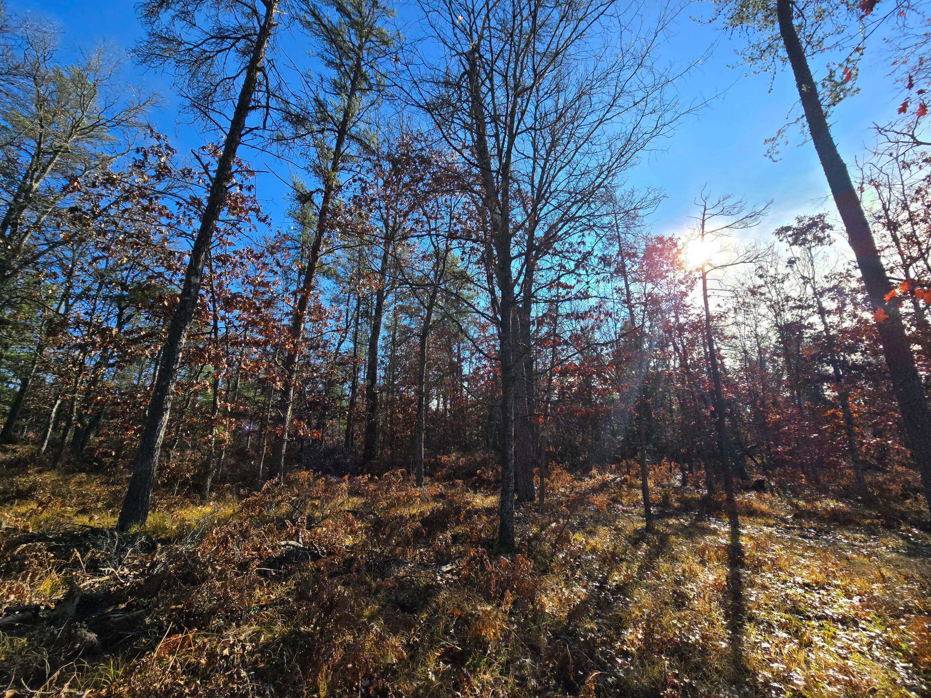 1500 Hardy Grade Road Curran, MI 48728 - Photo 50 of 81 Gallery Image 50