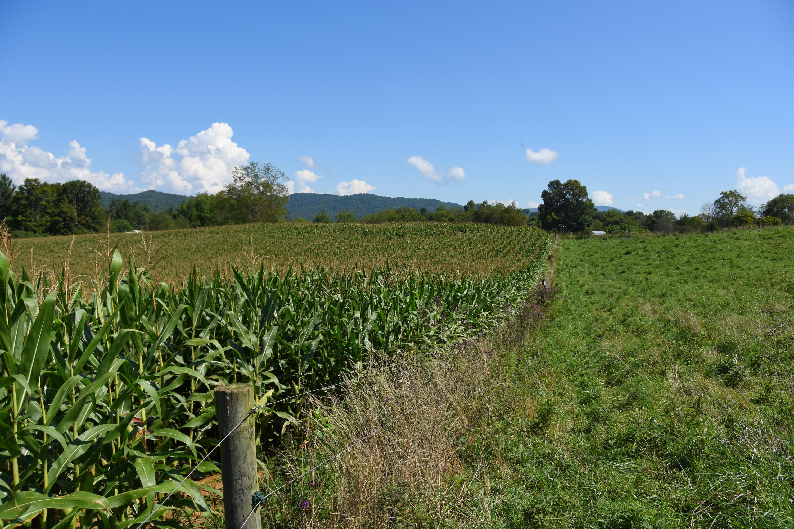 4709 Spring Creek Station Road Renick, WV 24966 - Photo 13 of 77 Gallery Image 13