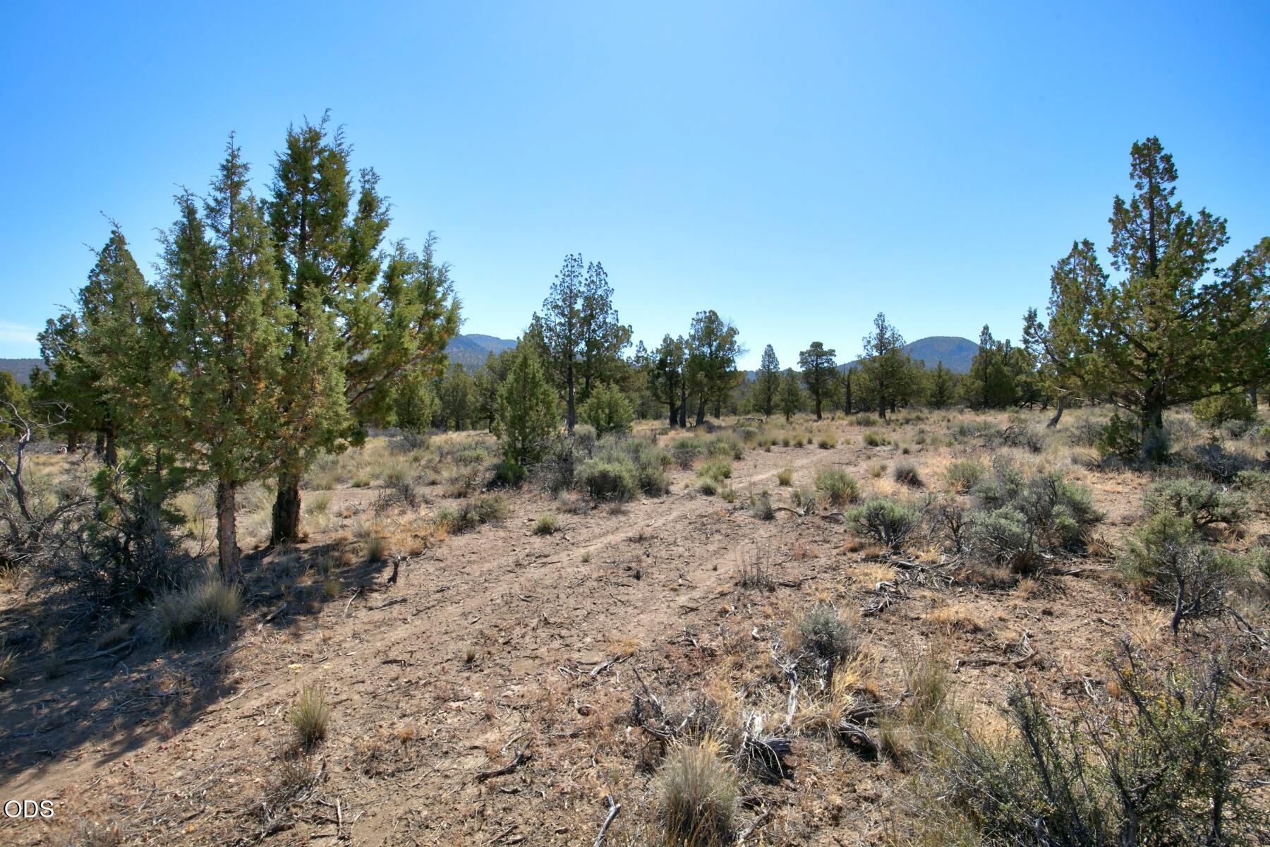 0 Southwest Reif Road, Unit PARCEL 2 Powell Butte, OR 97753 - Photo 13 of 18