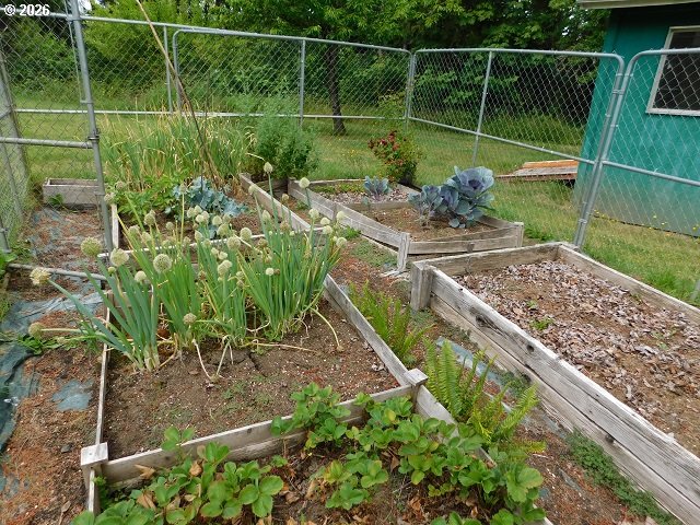 19512 Biggs Road Vernonia, OR 97064 - Photo 30 of 38 Garden